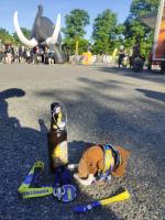 IMG_20250510_175615765.jpg