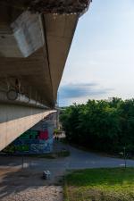 DSC_9779.jpg