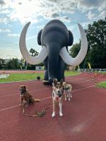 Team Plüsch!