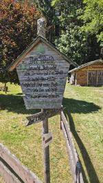 IMG_20260711_145826056.jpg